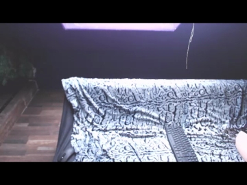 HarleyTwoface  11-12-2021 lfuck Female